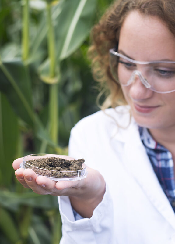 Female agronomist specialist examining soil sample for fertility potential.